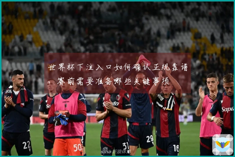 世界杯下注入口如何确认正规靠谱，赛前需要准备哪些关键事项