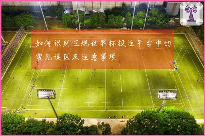 如何识别正规世界杯投注平台中的常见误区及注意事项