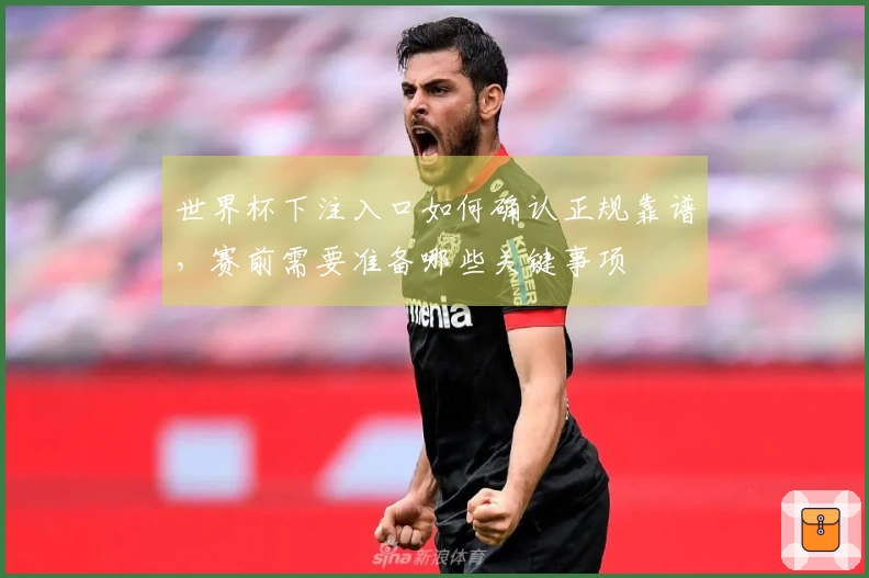 世界杯下注入口如何确认正规靠谱，赛前需要准备哪些关键事项